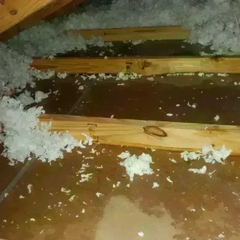 Attic Water Damage in Buhler, KS